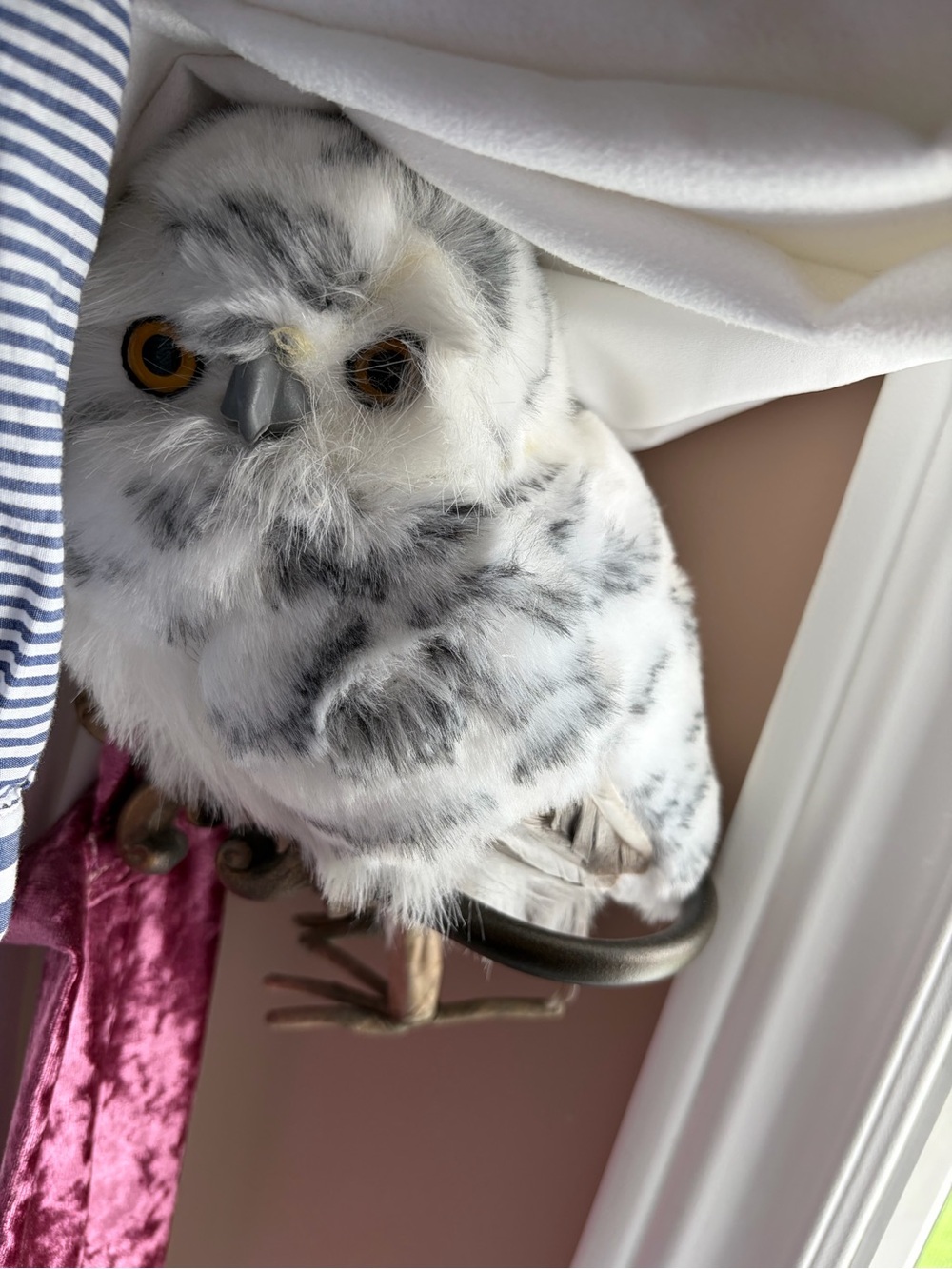 🔥$2 Plush Snowy Owl Pet Toy - White and Gray
